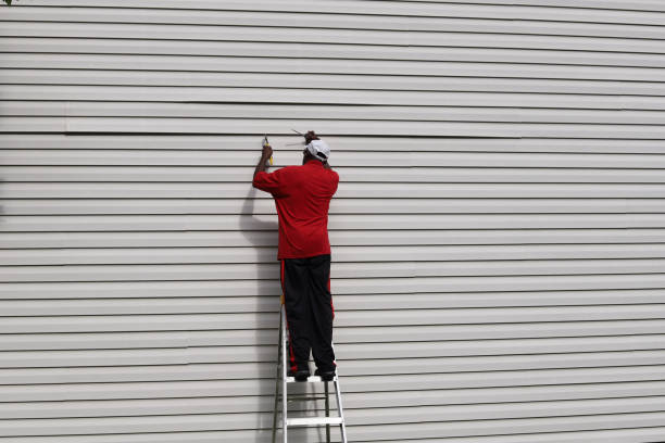 Best Historical Building Siding Restoration  in Lexington, MI
