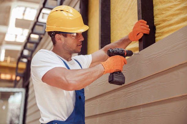 Best Aluminum Siding Installation  in Lexington, MI